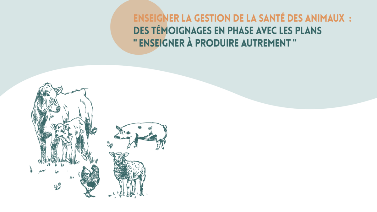 Enseigner la gestion de la santé des animaux : Des témoignages en phase ...