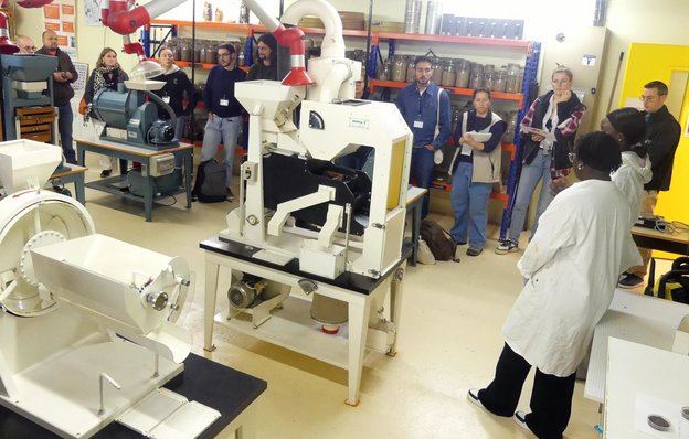 L'atelier de tri de semence