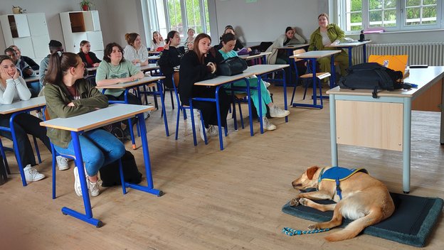 Chien médiateur en classe