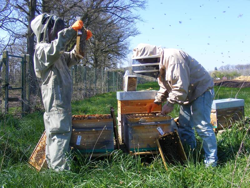 Les apiculteurs de la Ferme des Clos au travail derrière la plateforme de compostage